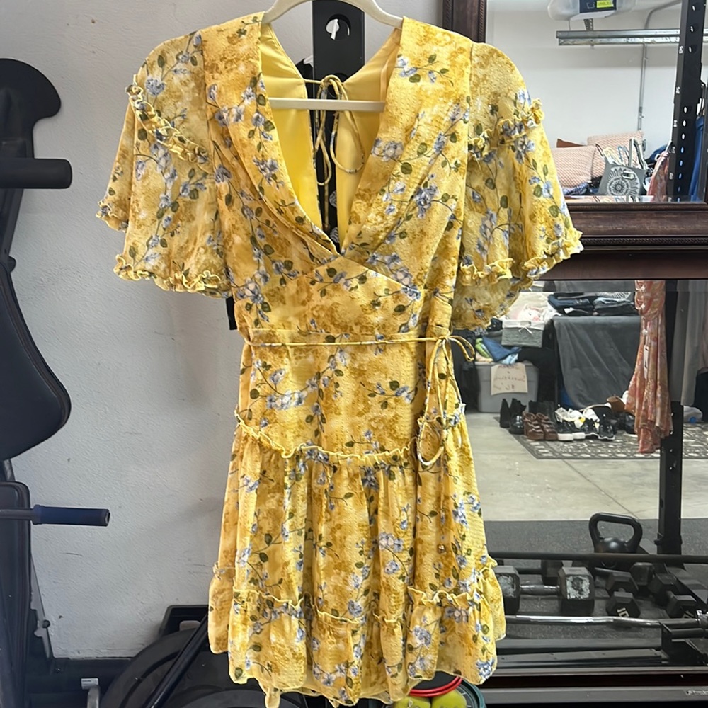 Angel Biba Dress